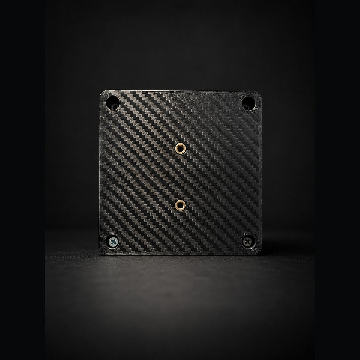 CELA RaceSignal rear view